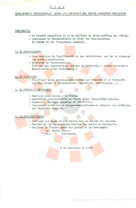 19761107_Conclusiones provisionales sobre las funciones del Comité Ejecutivo Provincial