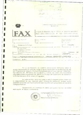 Fax de FERNANDA ANTUNES, María, para CORRALES ROMERO, Ignacio cuyo asunto trata de la planificaci...